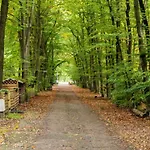 Boshuis Dorus Met Sauna I Recreatiepark D'n Mastendol Feriehus *