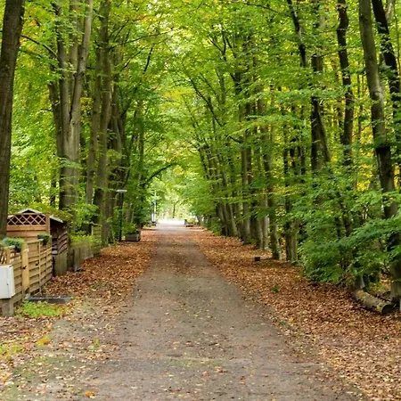 Boshuis Dorus Met Sauna I Recreatiepark D'n Mastendol 펜션 *