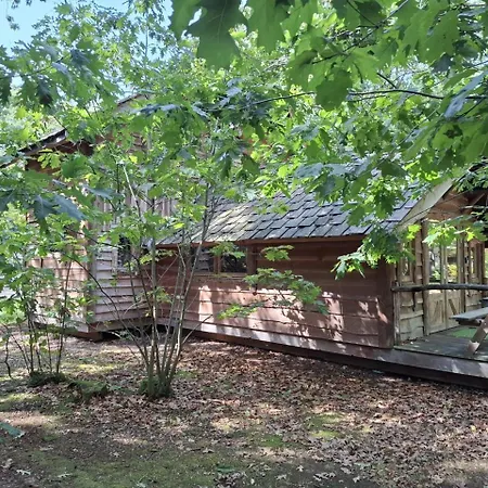Boshuis Dorus - Sfeervol Met Sauna Op D'n Mastendol - Holiday home