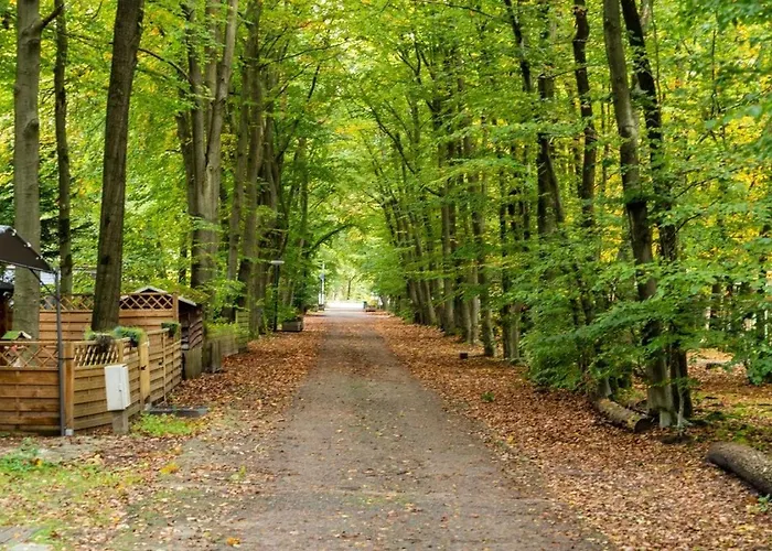 Boshuis Dorus Met Sauna I Recreatiepark D'n Mastendol Nyaraló *